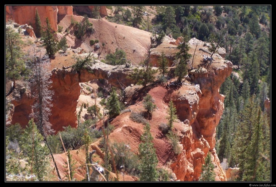 b111006 - 0170 - Bryce Canyon