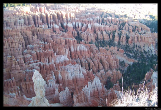 b111006 - 0316 - Bryce Canyon