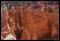 b111006 - 0246 - Bryce Canyon