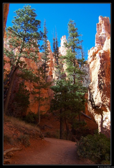 b111006 - 0280 - Bryce Canyon