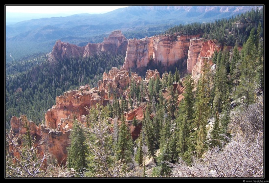 b111006 - 0174 - Bryce Canyon