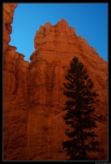 b111006 - 0268 - Bryce Canyon