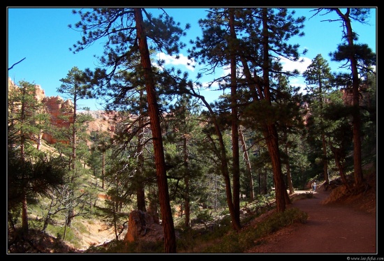 b111006 - 0277 - Bryce Canyon