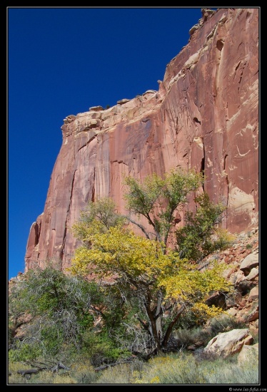 b121006 - 0401 - Capitol Reef