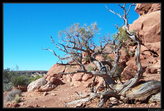 b121006 - 0434 - Balanced Rock