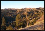 b121006 - 0341 - Bryce Canyon