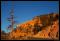 b121006 - 0345 - Bryce Canyon