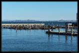 b211006 - 1197 - Pier 39