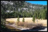 b191006 - 1005 - Devil Postpile