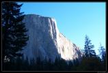 b201006 - 1089 - Yosemite park