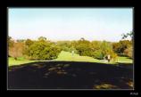 bAdelaide - 12