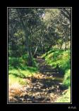 bMorialta Park - 01