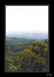 bMt Lofty - 03