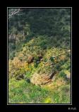 bMorialta Park - 04