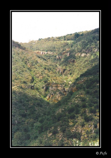 bMorialta Park - 03