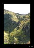 bMorialta Park - 02