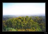 bMt Lofty - 06d