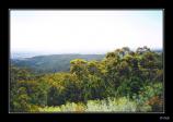 bMt Lofty - 06c