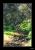 bMorialta Park - 01