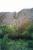 a_0087 - Ayers Rock