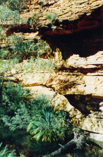 a_0149 - Kings Canyon