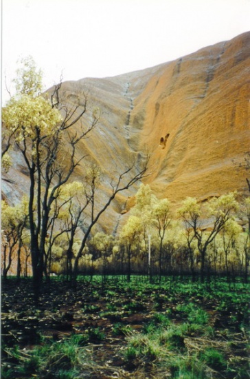 a_0091 - Ayers Rock