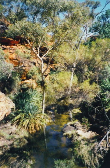 a_0150 - Kings Canyon