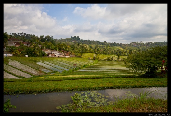 Bali