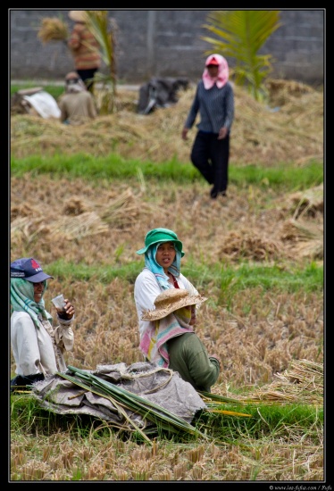 Bali