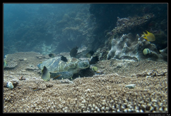 Cebu / Philippines 2018