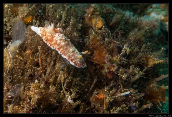 Cebu / Philippines 2018