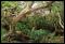 La Reunion