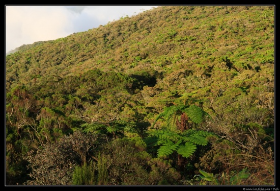 La Reunion