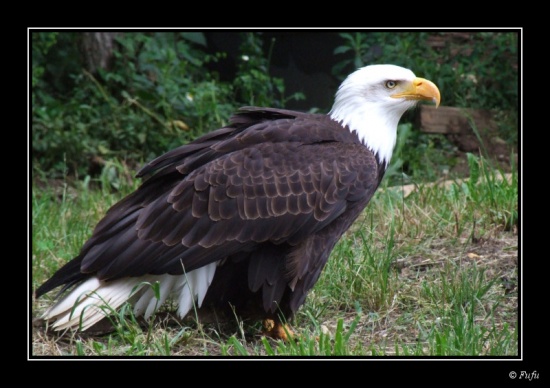 bmodif_070507 - 3860