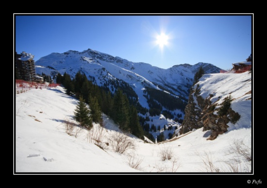 bIMG_1175