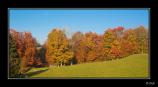 bIMG_5232