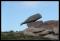 b240517 - 100D - 0238
