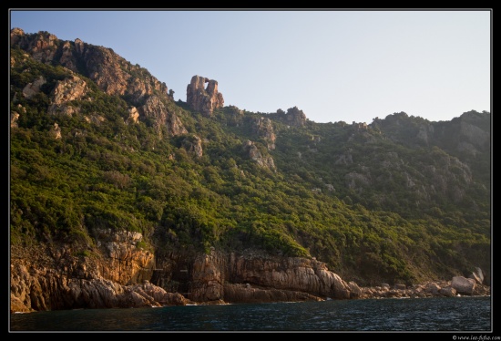 Corse