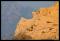 Corse