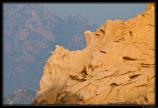 Corse