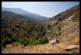 Corse