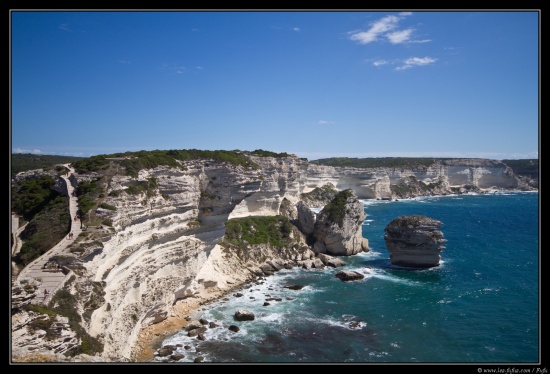 Corse