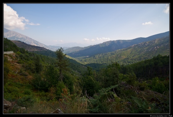 Corse