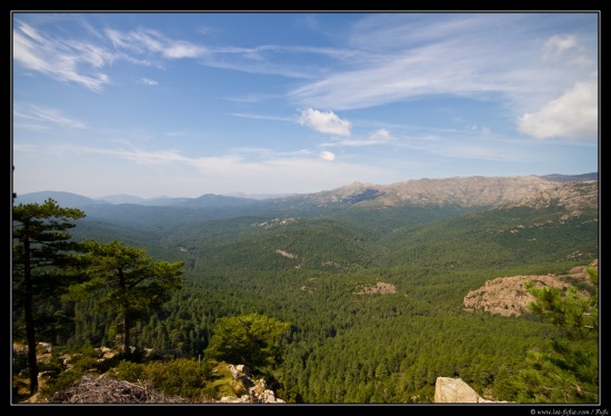 Corse