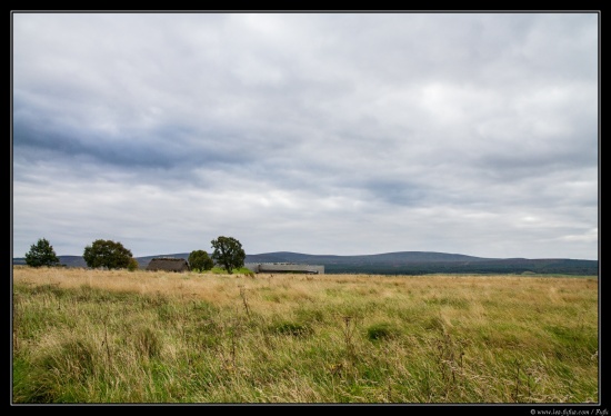 Ecosse 2014