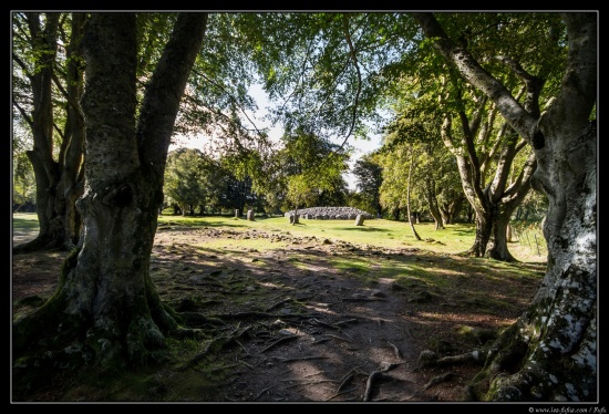 Ecosse 2014