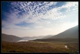 Ecosse 2014