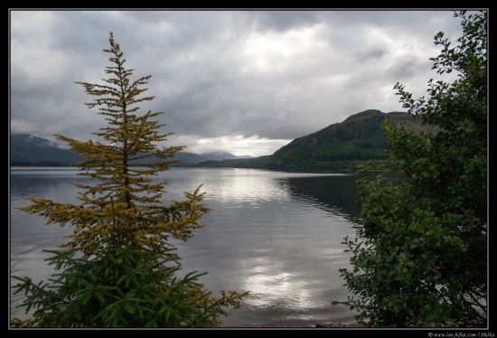 Ecosse 2014
