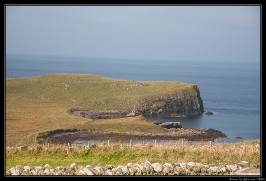 Ecosse 2014