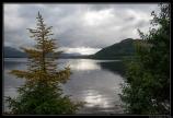 Ecosse 2014